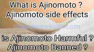ajinomoto-ajinomoto-side-effects-ajinomoto-harmful-ajinomoto-monosodium-glutamate