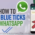 how-to-disable-whatsapp-blue-tick-how-to-turn-off-blue-tick-in-whatsapp